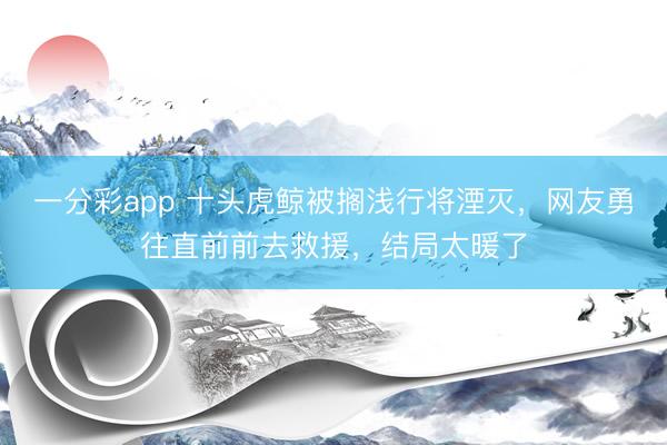 一分彩app 十头虎鲸被搁浅行将湮灭，网友勇往直前前去救援，结局太暖了