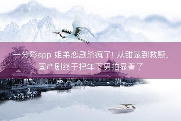 一分彩app 姐弟恋剧杀疯了! 从甜宠到救赎,国产剧终于把年下男拍显著了